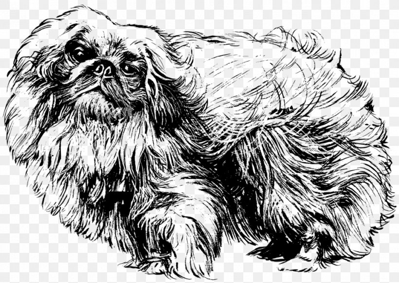 Pekingese Poodle Shih Tzu Dobermann Rottweiler, PNG, 958x680px, Pekingese, Affenpinscher, Animal, Black And White, Carnivoran Download Free