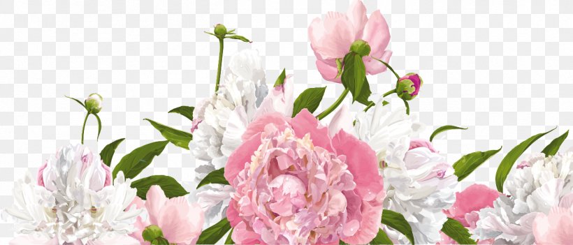 Peony Photography Flower Clip Art, PNG, 1298x557px, Peony, Annual Plant, Blossom, Cut Flowers, Flora Download Free