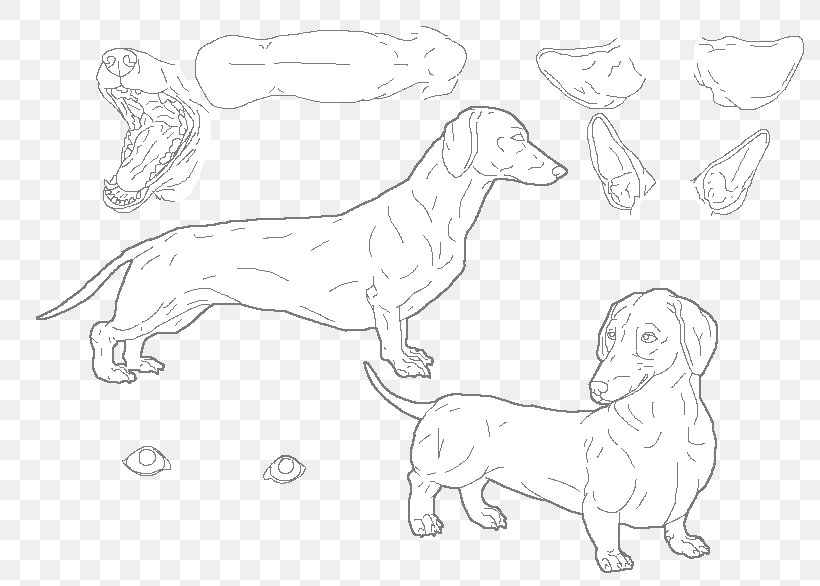Dog Breed Line Art Sketch, PNG, 800x586px, Dog Breed, Artwork, Black And White, Breed, Carnivoran Download Free