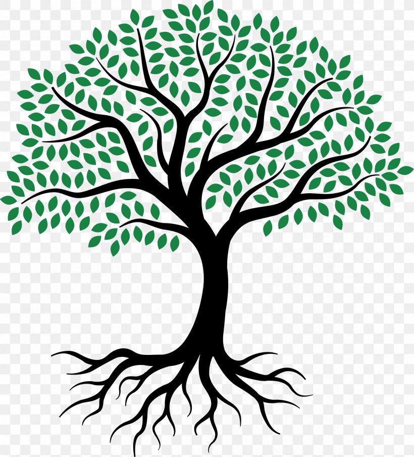 Drawing Root Tree Sketch, PNG, 2387x2633px, Drawing, Art, Artwork, Black And White, Branch Download Free