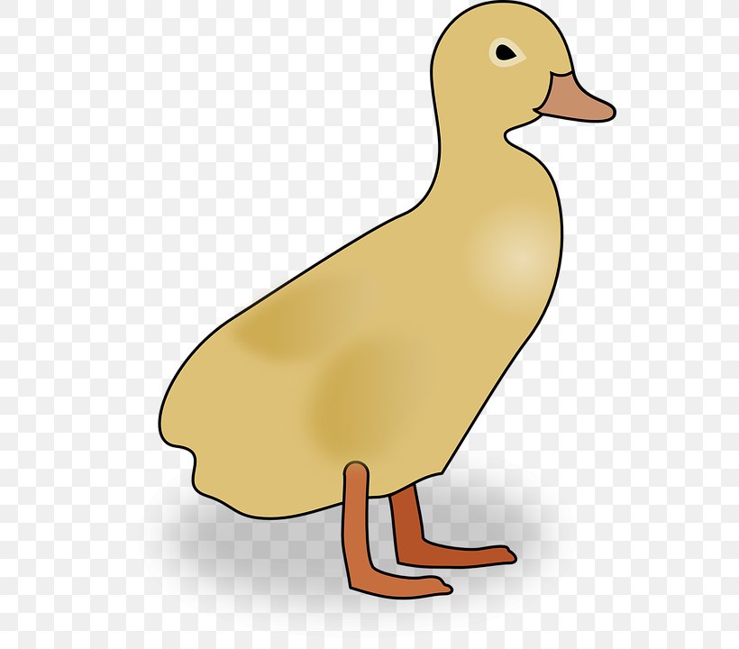 Duck Mallard Clip Art, PNG, 548x720px, Duck, American Black Duck, Beak, Bird, Cartoon Download Free