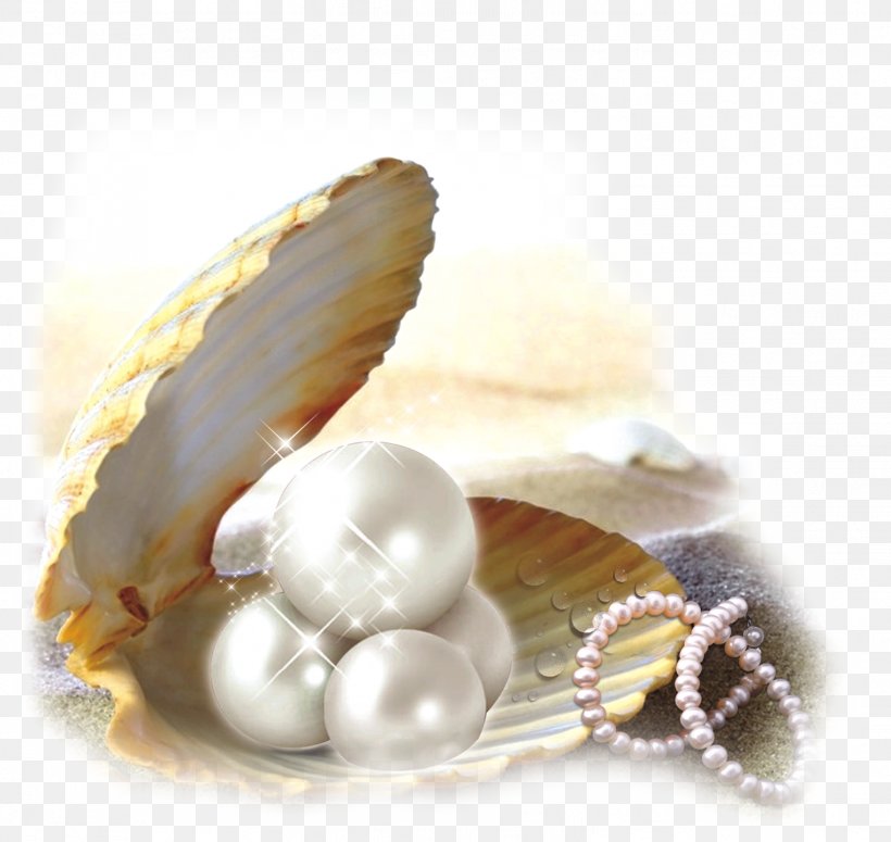 Pearl BK OF ELDERS Oyster Seashell, PNG, 1523x1440px, Pearl, Charles Spurgeon, Christianity, Crucifixion, Crucifixion Of Jesus Download Free