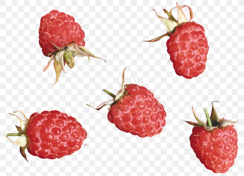 Strawberry Red Raspberry Tayberry Accessory Fruit, PNG, 800x592px, Strawberry, Accessory Fruit, Berry, Brambles, Food Download Free