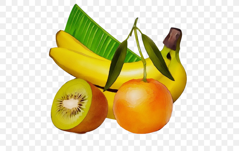 Natural Foods Fruit Food Yellow Plant, PNG, 500x518px, Watercolor, Accessory Fruit, Food, Fruit, Natural Foods Download Free