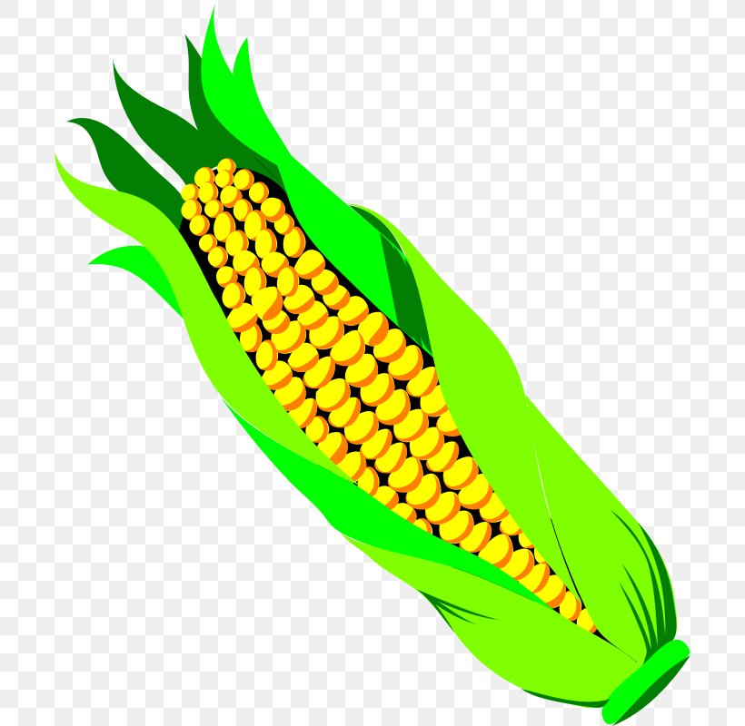 Vegetable Corn On The Cob Sweet Corn Clip Art, PNG, 800x800px, Vegetable, Bell Pepper, Commodity, Corn On The Cob, Drawing Download Free