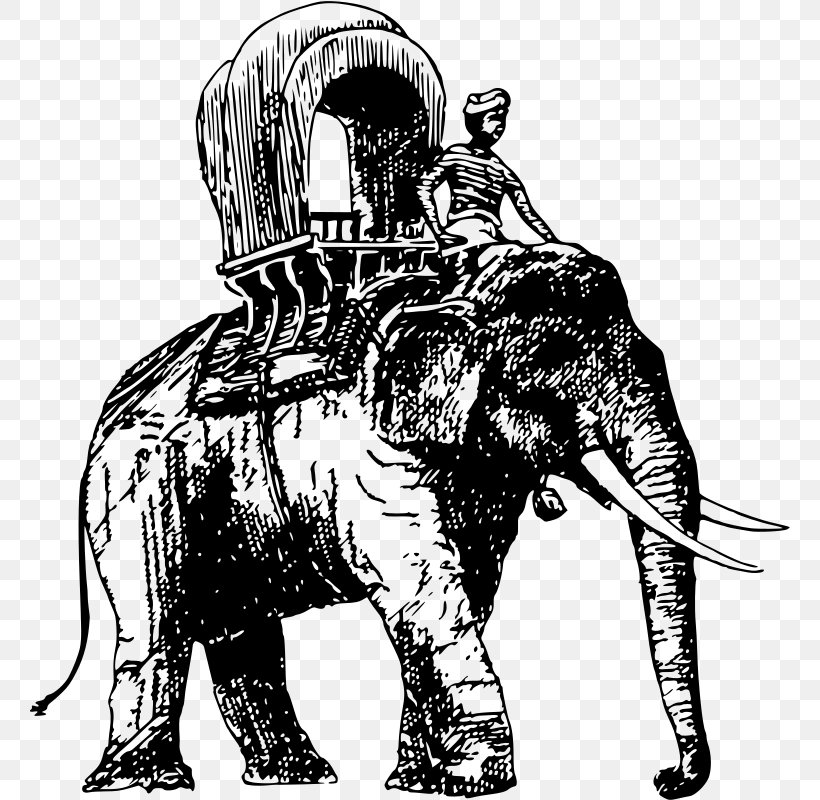 Clip Art, PNG, 760x800px, Elephant, African Elephant, Art, Big Cats, Black And White Download Free