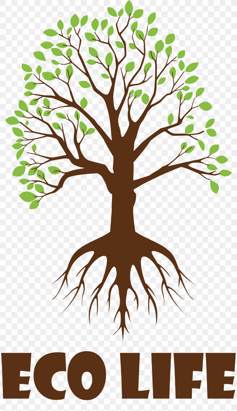 Eco Life Tree Eco, PNG, 1728x3000px, Tree, Birch, Branch, Broadleaved Tree, Drawing Download Free