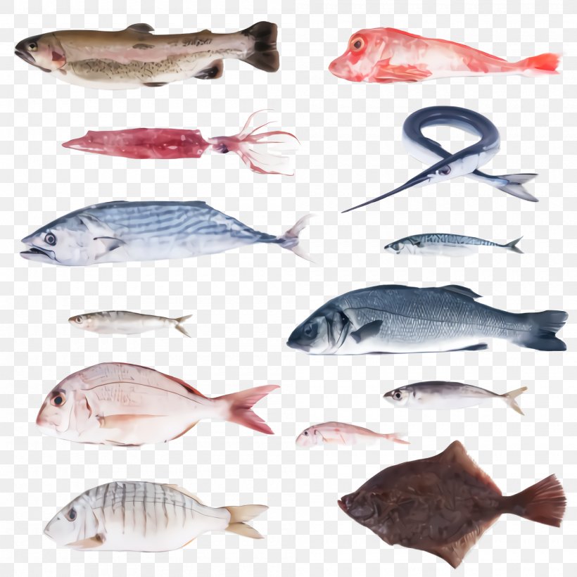 Fish Fish Fish Products Tilapia Snapper, PNG, 2000x2000px, Fish, Bass, Bonyfish, Cod, Feeder Fish Download Free