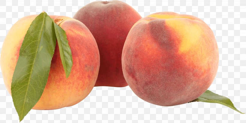 Nectarine Saturn Peach, PNG, 3494x1751px, Peach, Apricot, Diet Food, Food, Fruit Download Free