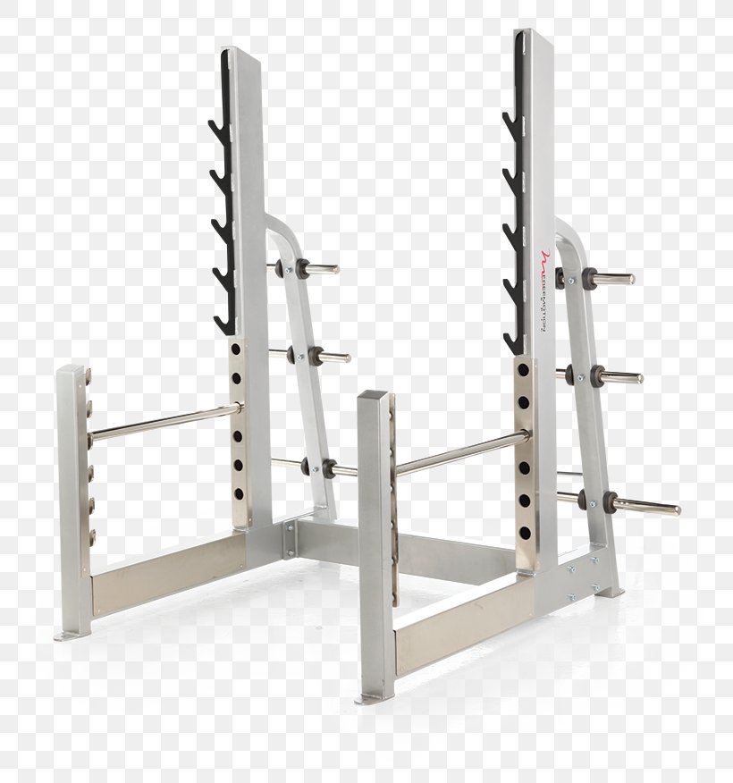 Power Rack Weight Training Physical Fitness Fitness Centre Exercise, PNG, 750x876px, Power Rack, Barbell, Dumbbell, Exercise, Exercise Equipment Download Free
