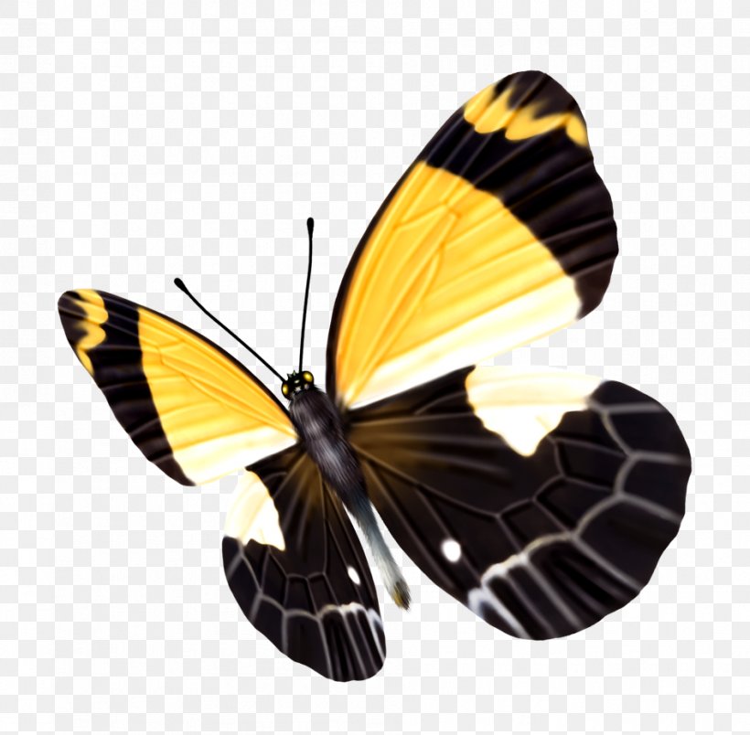 Butterfly Yellow Black, PNG, 945x927px, Butterfly, Arthropod, Black, Blue, Brush Footed Butterfly Download Free