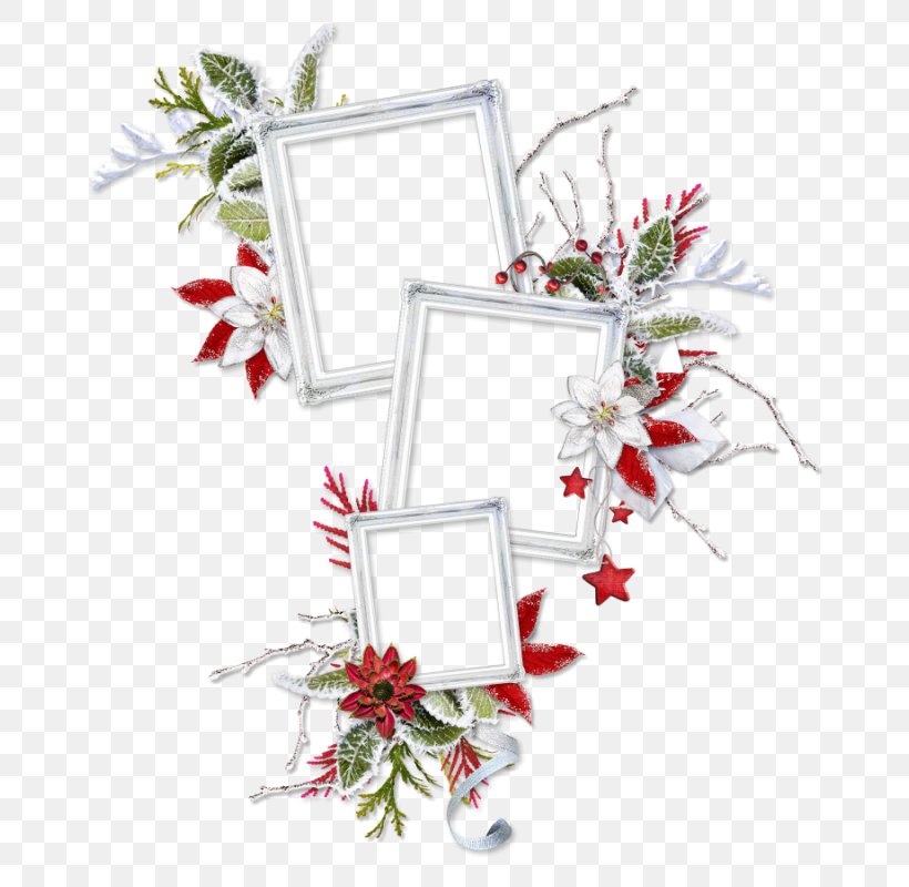 Floral Design Christmas Ornament Cut Flowers, PNG, 800x800px, Floral Design, Aquifoliaceae, Branch, Christmas, Christmas Decoration Download Free