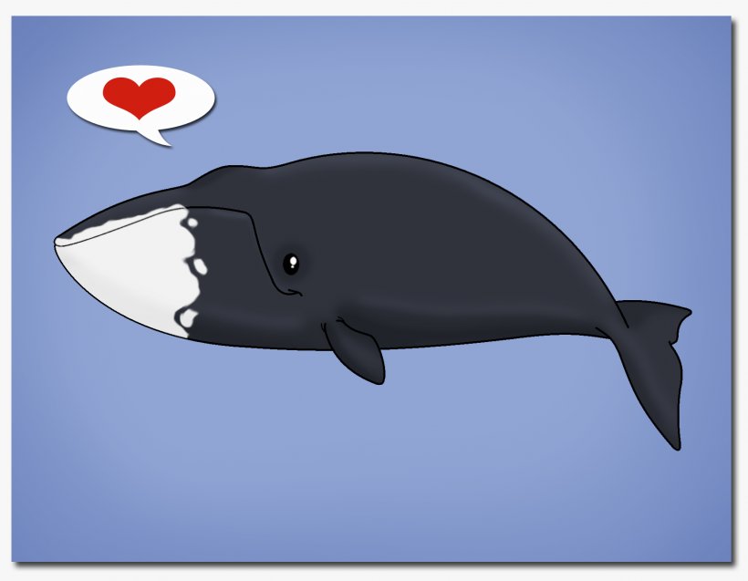 Porpoise Tucuxi Whale Python Curtus Dolphin, PNG, 1832x1425px, Porpoise, Animal, Bowhead Whale, Cetacea, Dolphin Download Free