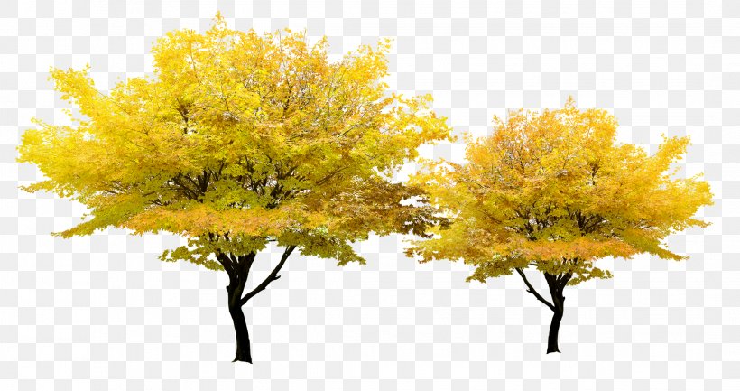 Tree Yellow Pixel, PNG, 2138x1130px, 3d Computer Graphics, Tree, Autumn, Branch, Floral Design Download Free