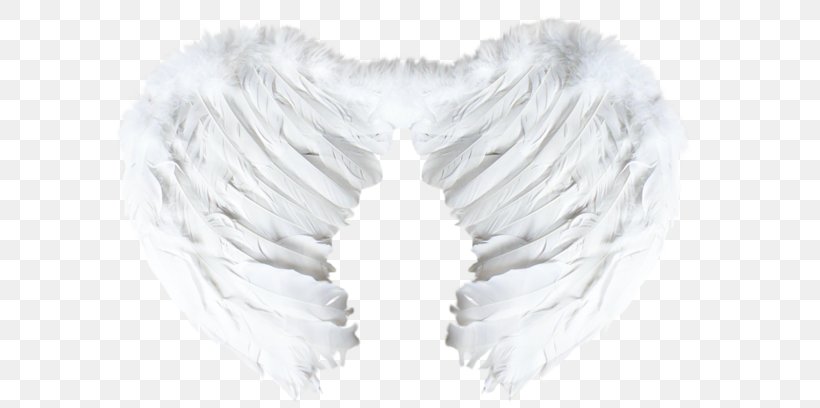 Wing Blogger Feather, PNG, 600x408px, Wing, Abstract And Concrete, Atom, Blog, Blogger Download Free