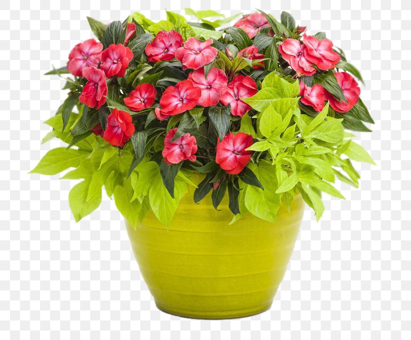 Container Garden Flowerpot Shipping Container Gardening, PNG, 736x679px, Container Garden, Annual Plant, Combination, Combo, Container Download Free