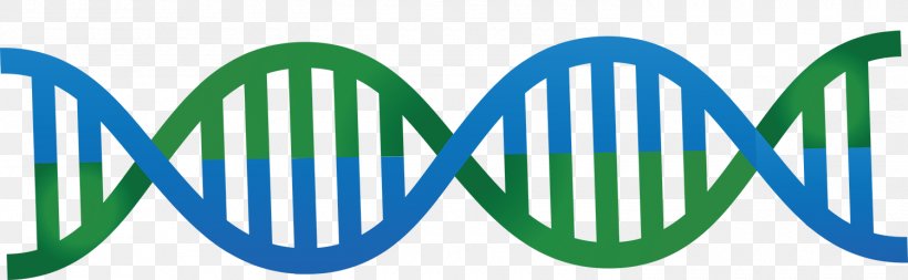 DNA Nucleic Acid Double Helix Euclidean Vector, PNG, 1500x463px, Dna, Adna, Blue, Brand, Diagram Download Free