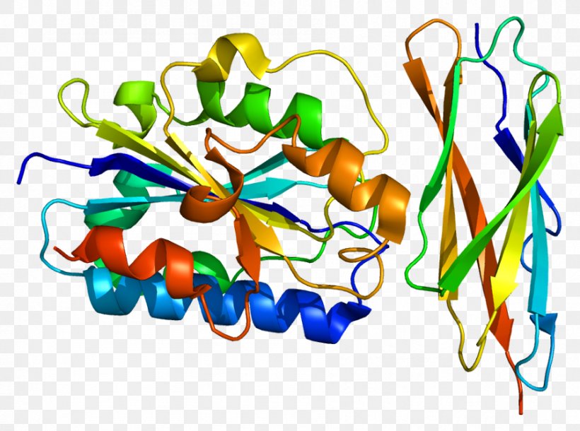 ICAM3 Intercellular Adhesion Molecule Cell Adhesion Molecule ICAM-1 ICAM2, PNG, 899x669px, Watercolor, Cartoon, Flower, Frame, Heart Download Free