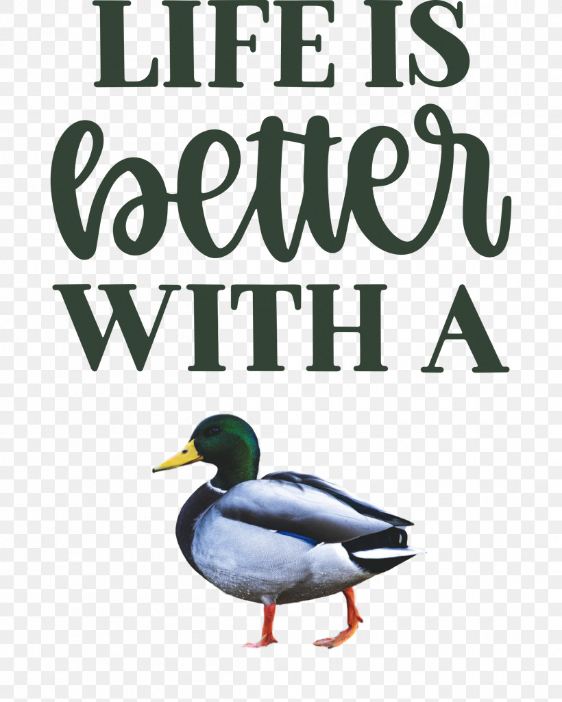 Life Better, PNG, 2398x2999px, Life, Beak, Better, Biology, Birds Download Free