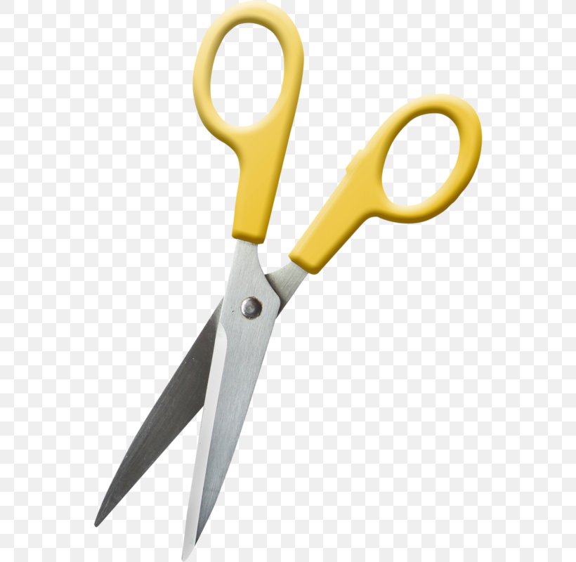 Sewing Scissors Clip Art, PNG, 555x800px, Sewing, Embroidery, Hair Shear, Haircutting Shears, Handsewing Needles Download Free