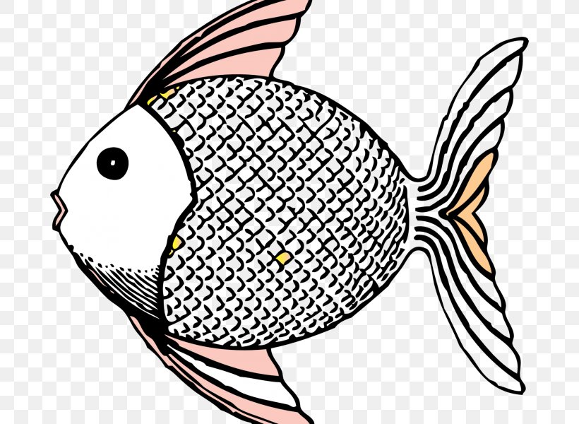 Tropical Fish Clip Art, PNG, 678x600px, Fish, Artwork, Beak, Black And White, Can Stock Photo Download Free