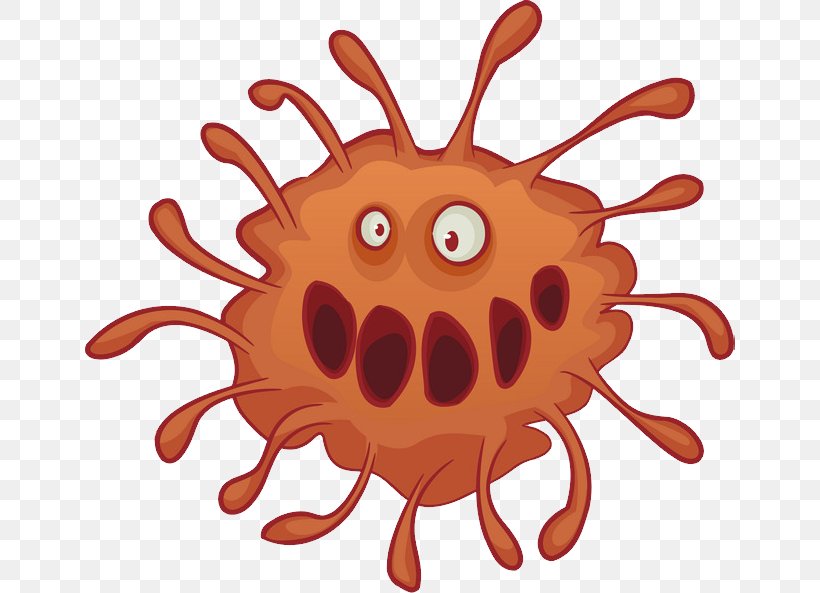Bacteria Germ Theory Of Disease Child Virus Microbiota, PNG, 650x593px, Bacteria, Child, Crab, Decapoda, Disease Download Free
