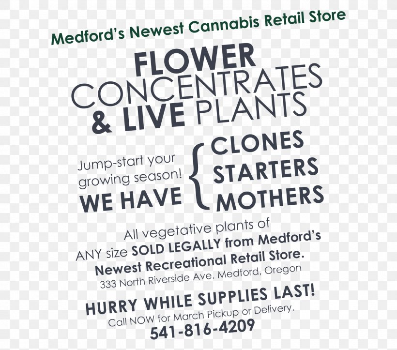 Cannabiz Experience Retail Plant Advertising Sales, PNG, 1600x1412px, Retail, Advertising, Area, Backlink, Brand Download Free