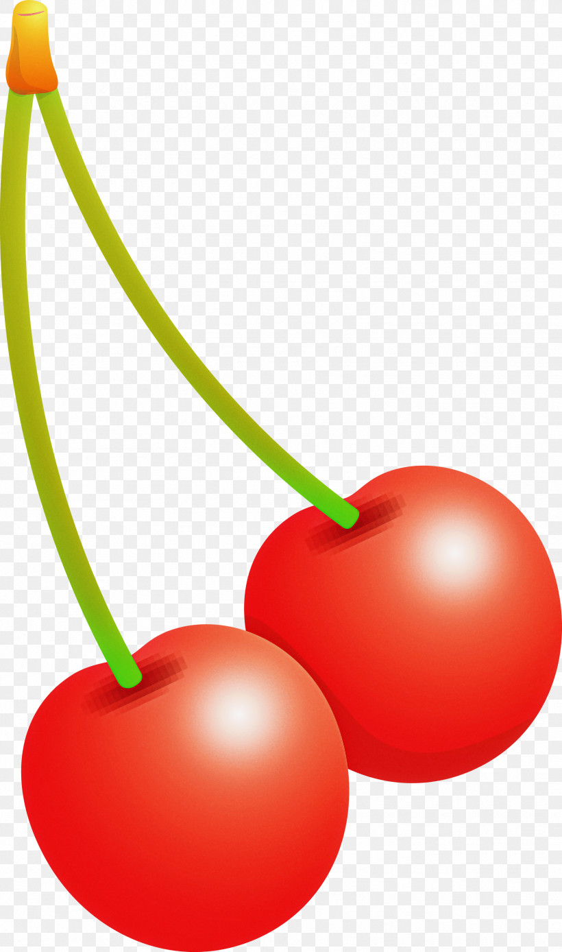 Cherry, PNG, 1771x2999px, Cherry, Acerola Family, Drupe, Flower, Food Download Free