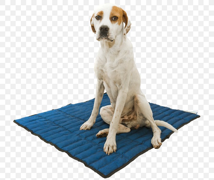 Dog Blue Carpet Beslist.nl Kerchief, PNG, 750x687px, Dog, Bed, Beslistnl, Blue, Carpet Download Free