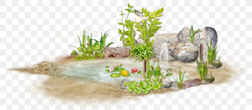 Water Resources, PNG, 800x357px, Water, Aquarium Decor, Floral Design, Flower, Flowerpot Download Free