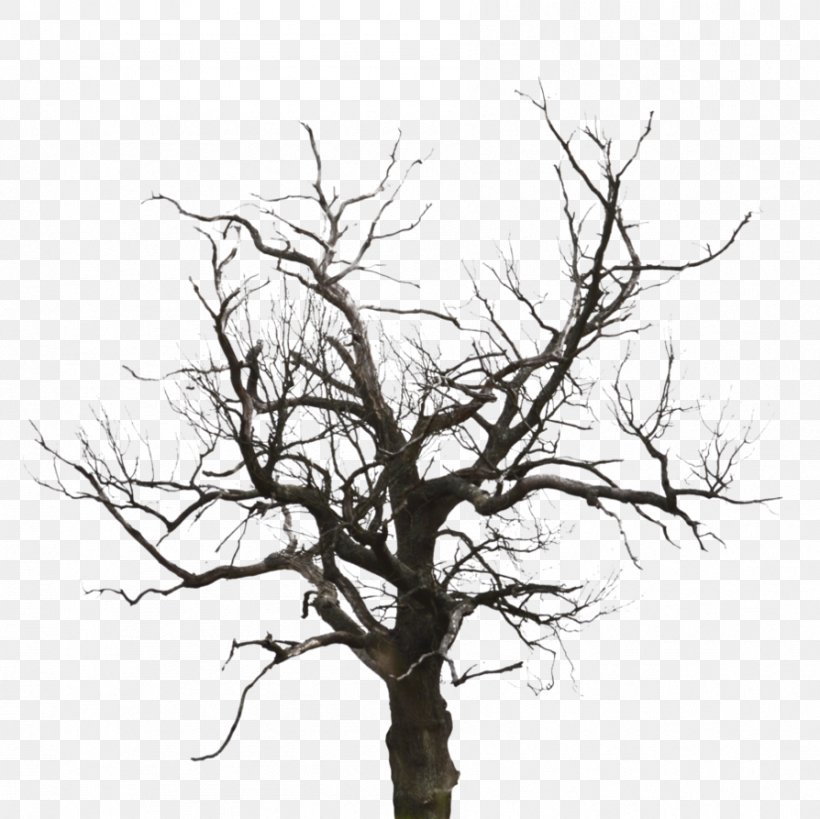 DeviantArt Artist Twig Work Of Art, PNG, 894x893px, Art, Artist, Black And White, Branch, Deviantart Download Free