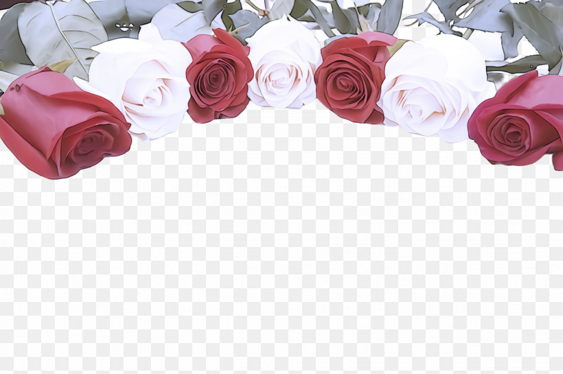 Garden Roses, PNG, 2452x1632px, Rose, Cut Flowers, Flower, Garden Roses, Petal Download Free