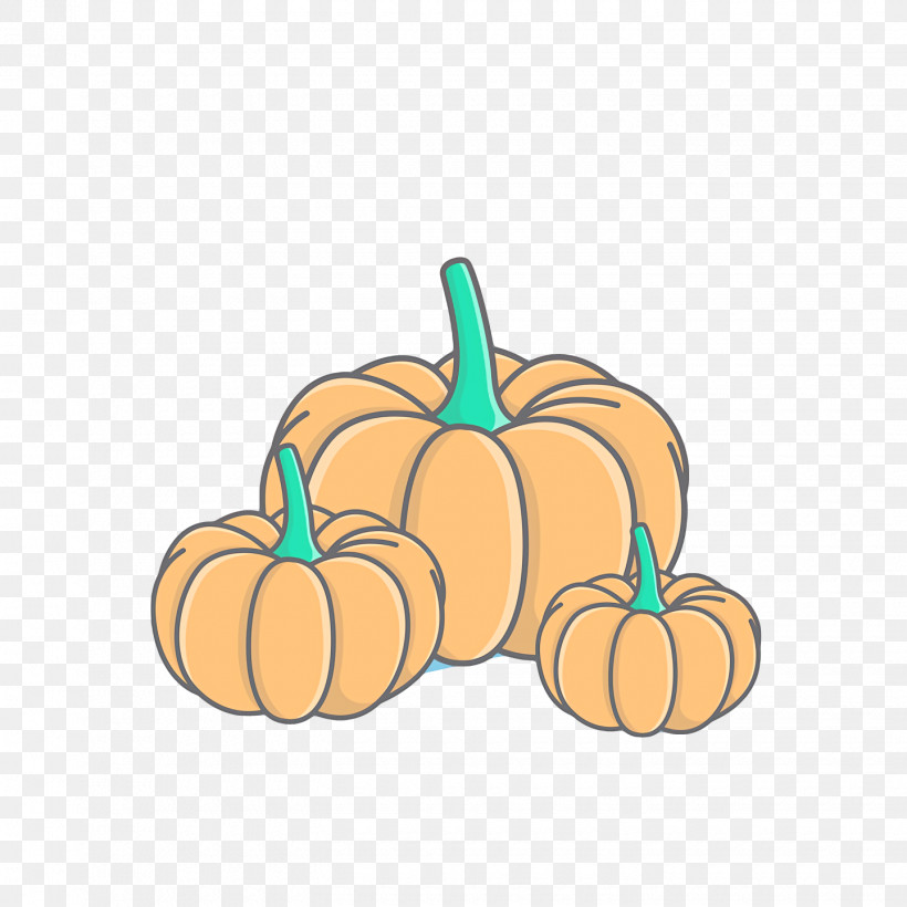 Squash Winter Squash Gourd Cartoon Fruit, PNG, 1440x1440px, Squash, Cartoon, Fruit, Gourd, Meter Download Free