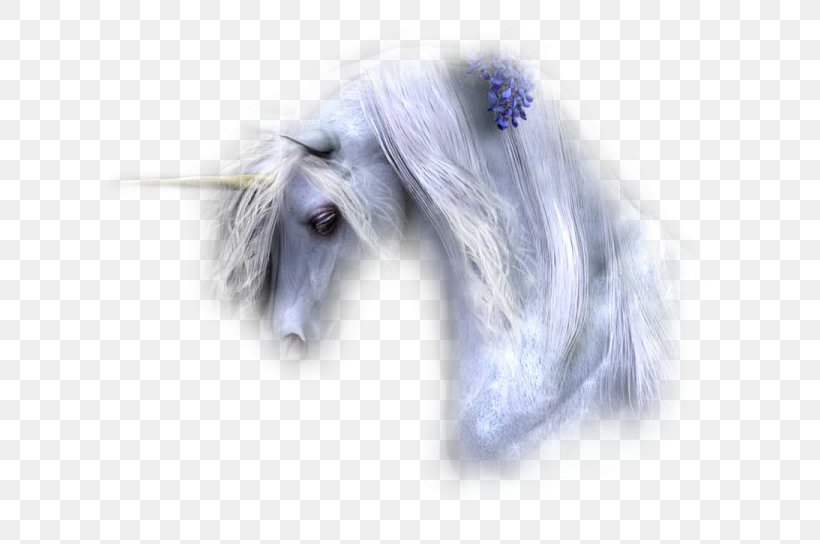 Unicorn Pegasus Blog .hu, PNG, 662x544px, Unicorn, Blog, Breed, Dog, Dog Breed Download Free