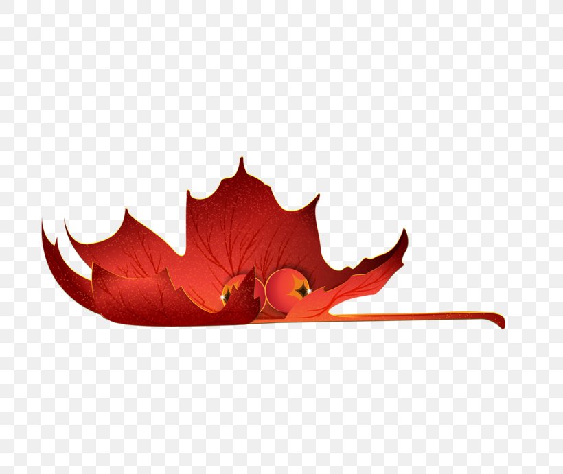Leaf Autumn Clip Art, PNG, 800x691px, Leaf, Autumn, Computer Software, Flower, Maple Leaf Download Free