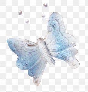 Beautiful Blue Butterfly - Butterfly Phengaris Alcon PNG
