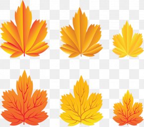 Autumn - Clip Art Image Desktop Wallpaper Autumn PNG