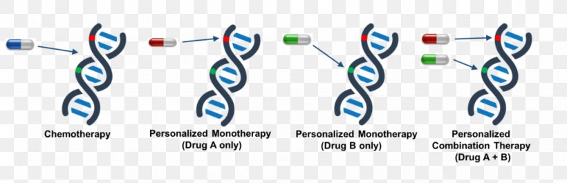 Combination Therapy Pharmaceutical Drug Chemotherapy Treatment Of Cancer, PNG, 1024x331px, Combination Therapy, Area, Brand, Cancer, Cell Download Free
