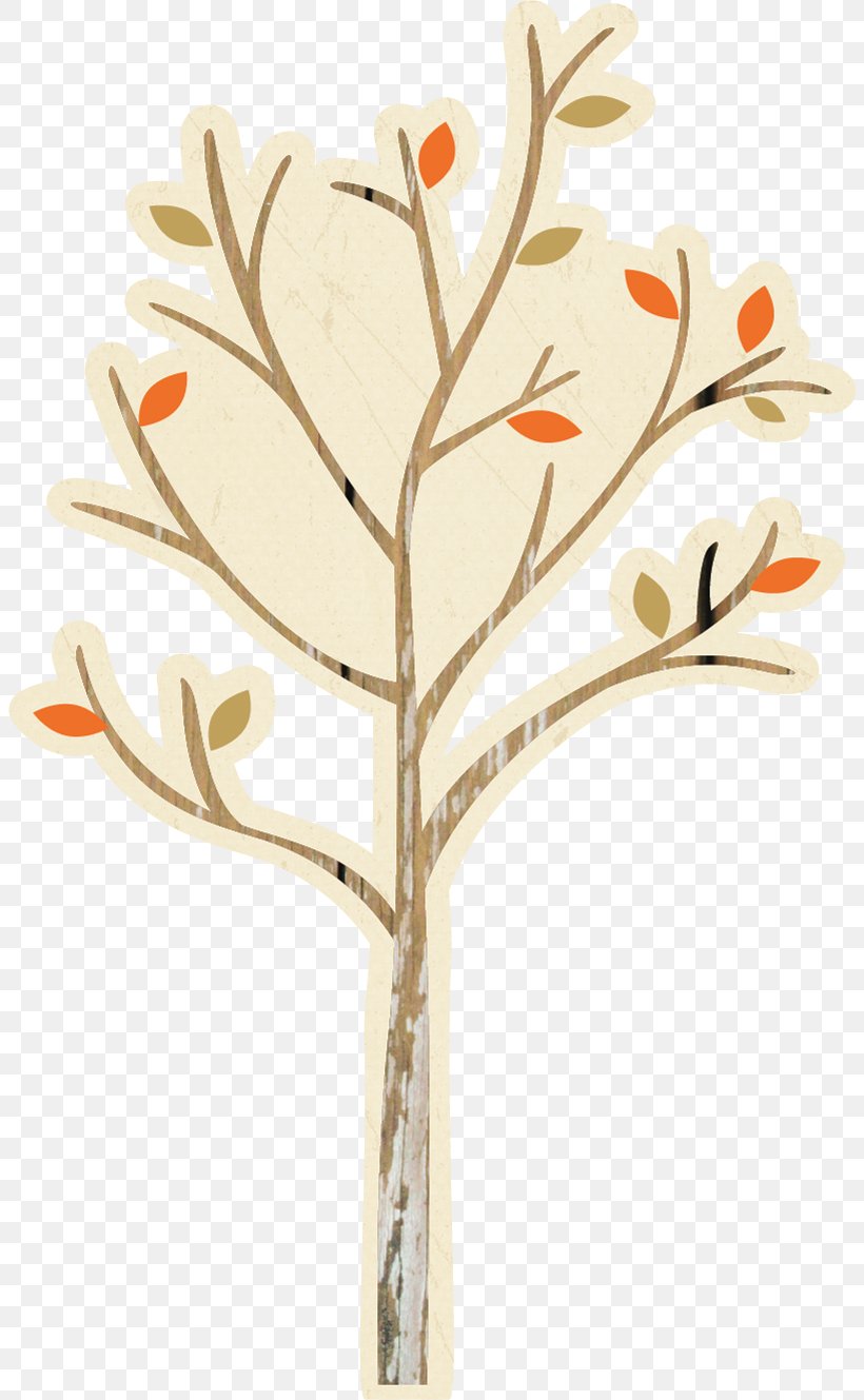 Leaf Branch Tree Twig Plant Stem, PNG, 804x1329px, Leaf, Branch, Plant Stem, Tree, Twig Download Free