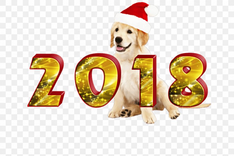 Dog Chinese New Year New Year's Day New Year's Resolution, PNG, 960x640px, Dog, Carnivoran, Chinese Calendar, Chinese New Year, Chinese Zodiac Download Free