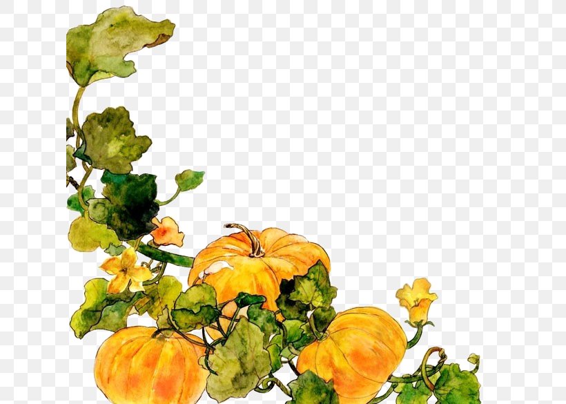Floral Design Cucurbita Vegetable Cut Flowers, PNG, 627x585px, Floral Design, Cucurbita, Cut Flowers, Floristry, Flower Download Free