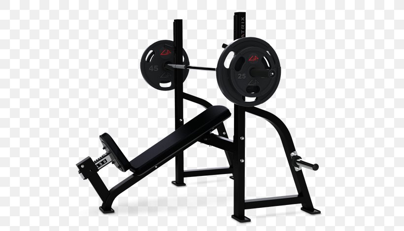 Bench Olympic Games Fitness Centre Fly Dumbbell, PNG, 600x470px, Bench, Bank, Dumbbell, Exercise Equipment, Exercise Machine Download Free