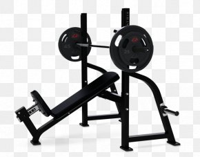 Fitness Equipment - Bench Olympic Games Fitness Centre Fly Dumbbell PNG