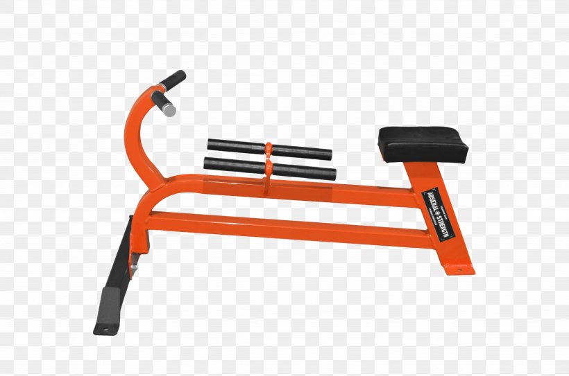Exercise Machine Exercise Equipment Bench Bent-over Row, PNG, 4928x3264px, Exercise Machine, Barbell, Bench, Bentover Row, Crossfit Download Free