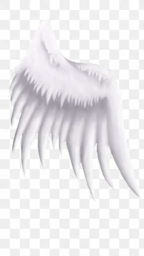Neck White PNG