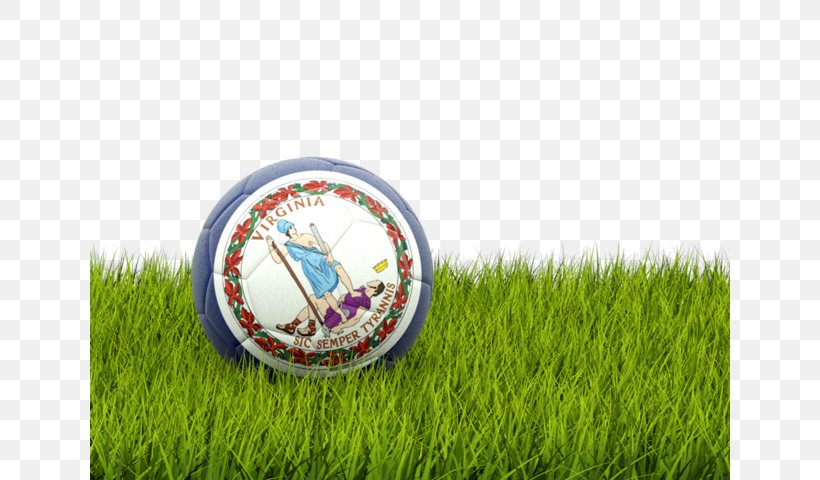 Portugal National Football Team England National Football Team World Cup Iceland National Football Team, PNG, 640x480px, Portugal National Football Team, Ball, Bangladesh National Football Team, England National Football Team, Flag Football Download Free