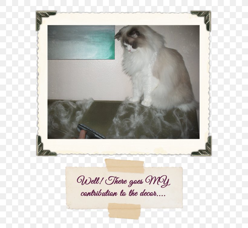 Cat Yeti Kitten Fur Himalayas, PNG, 606x755px, Cat, Christmas, Color, Cryptozoology, Decal Download Free