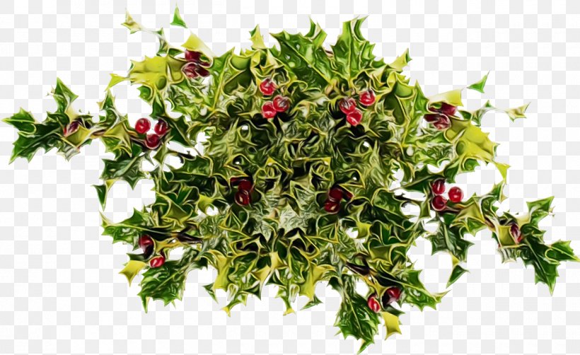 Holly, PNG, 1300x796px, Christmas Holly, Christmas, Flower, Holly, Ilex Download Free