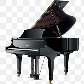 Piano - Boston Steinway & Sons Grand Piano Steinway Hall PNG