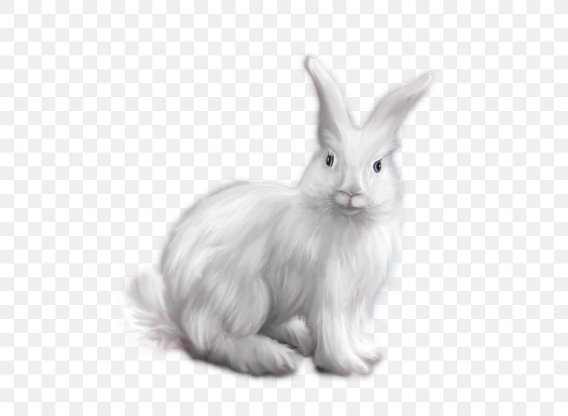 Domestic Rabbit Angora Rabbit White Rabbit Clip Art, PNG, 543x600px, Rabbit, Angora Rabbit, Animal, Art, Black And White Download Free